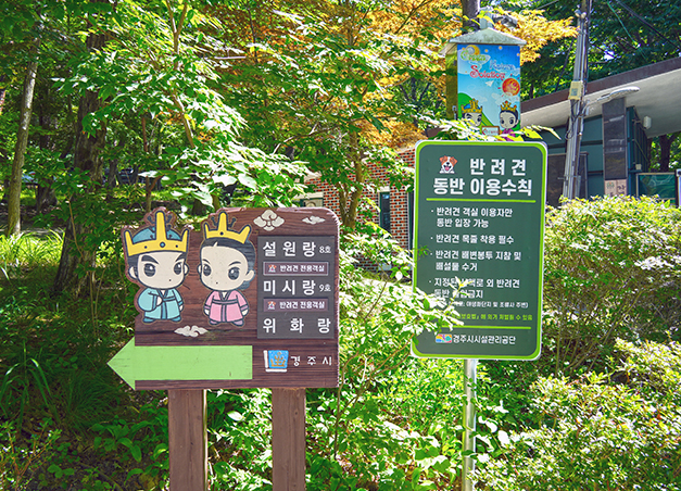 숲속의 집 가는 길
