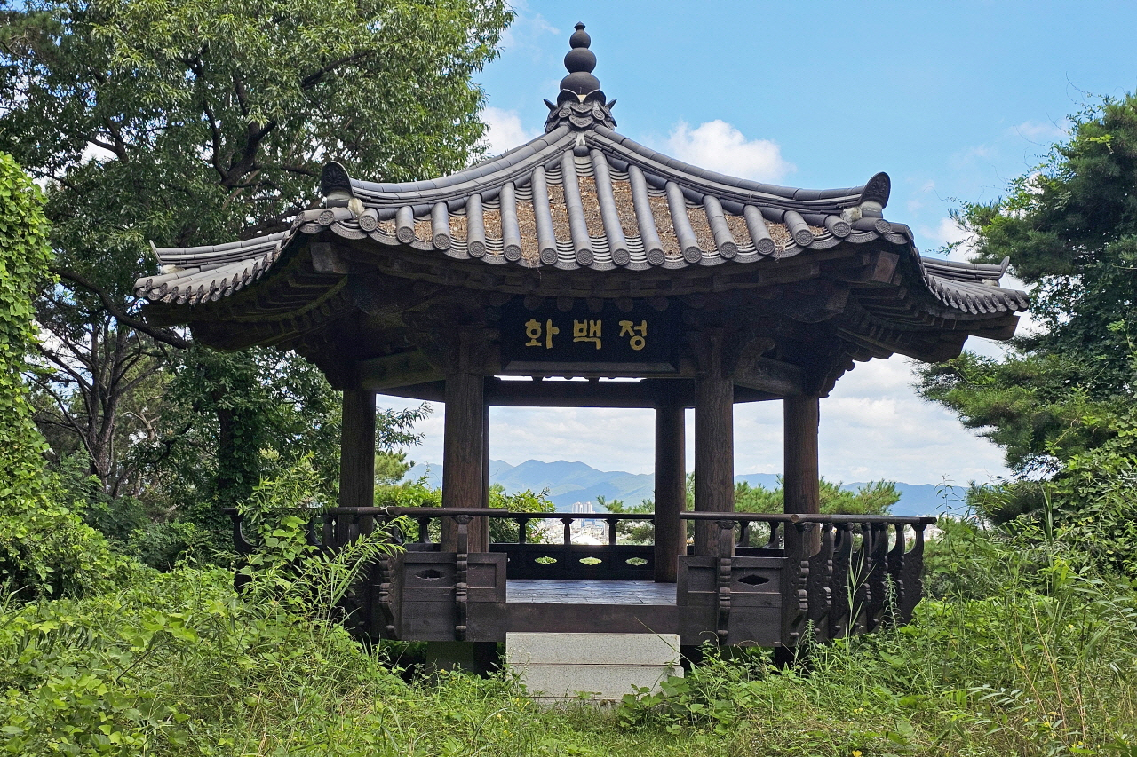 화백정