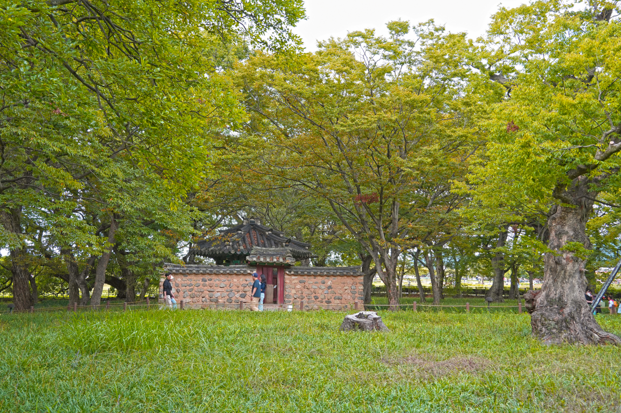 경주 계림