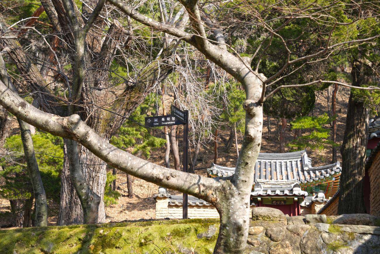 옥산서원 둘레길