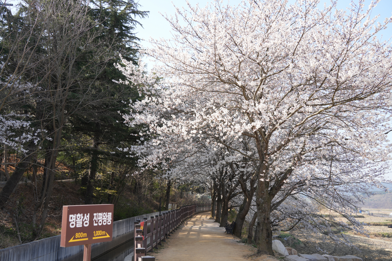 선덕여왕길
