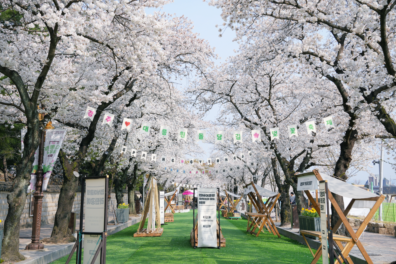 대릉원 돌담길 축제 (지난 행사 장면)