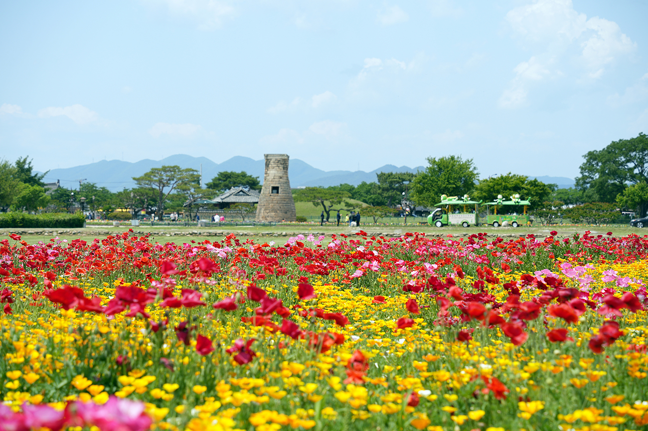 동부사적지대 꽃단지의 5월