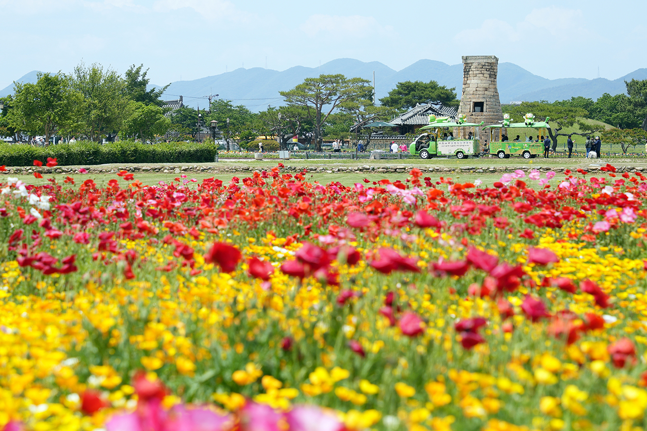 동부사적지대 꽃단지의 5월