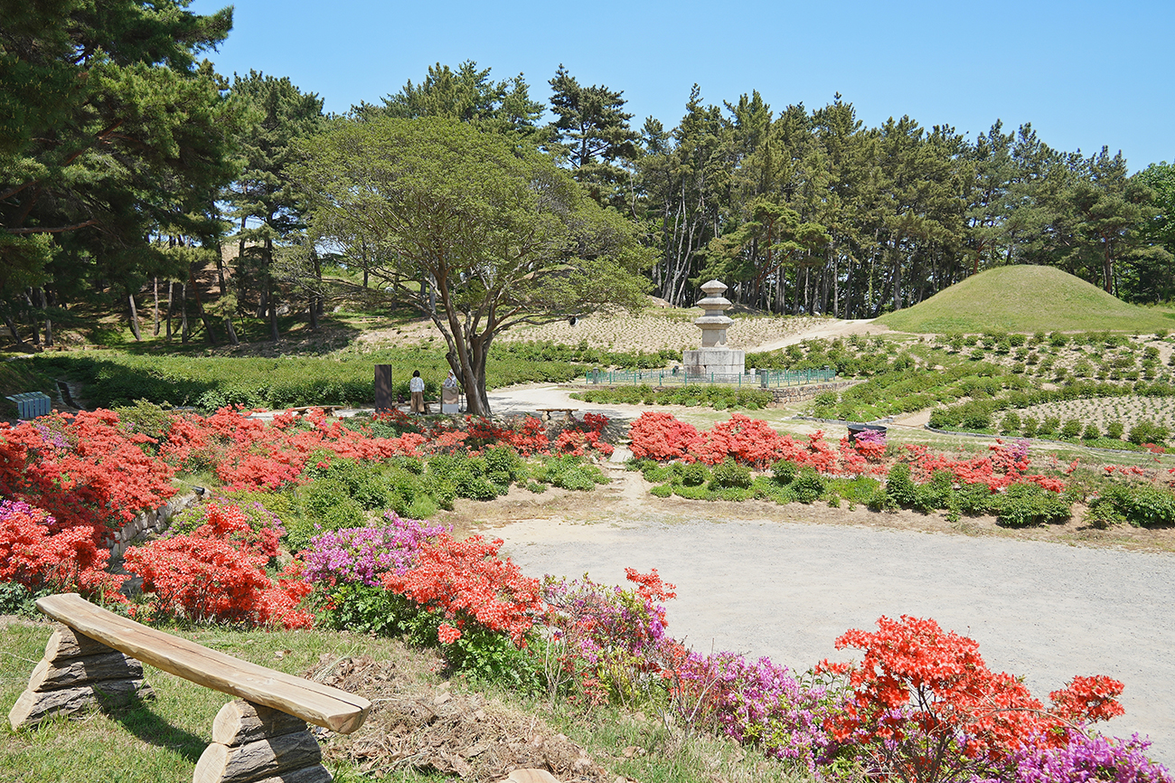 서악동 삼층석탑