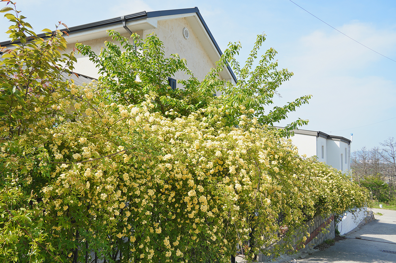 가든카페 미하스