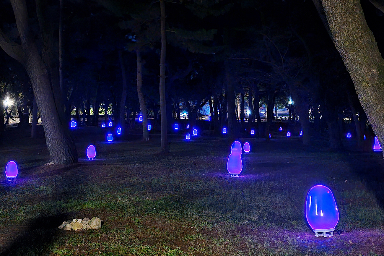 지난 행사 장면