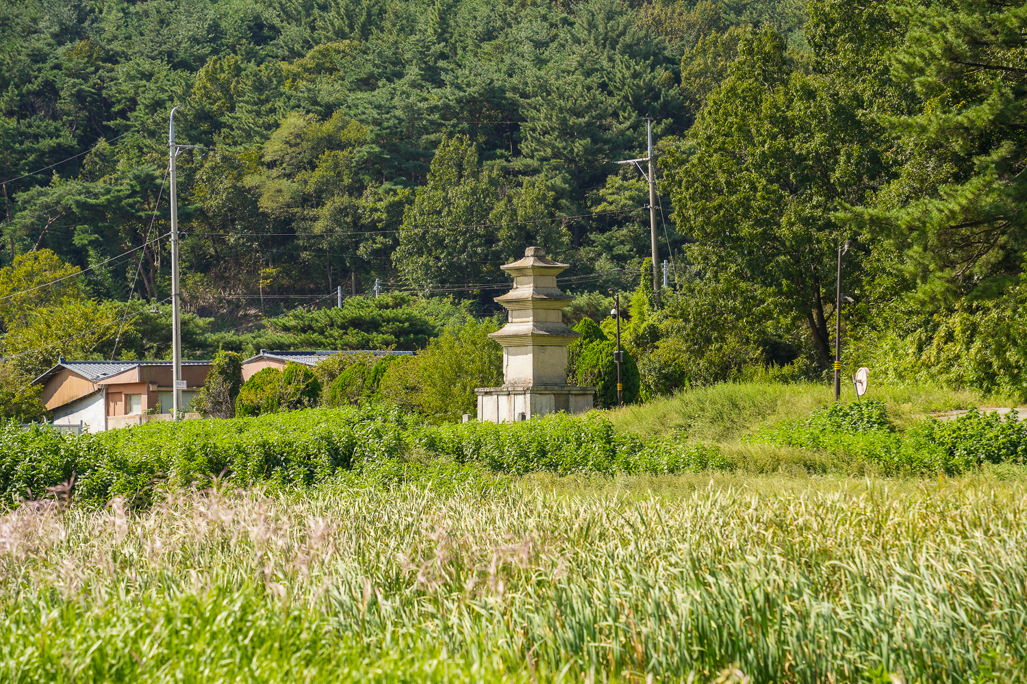 황복사지 삼층석탑