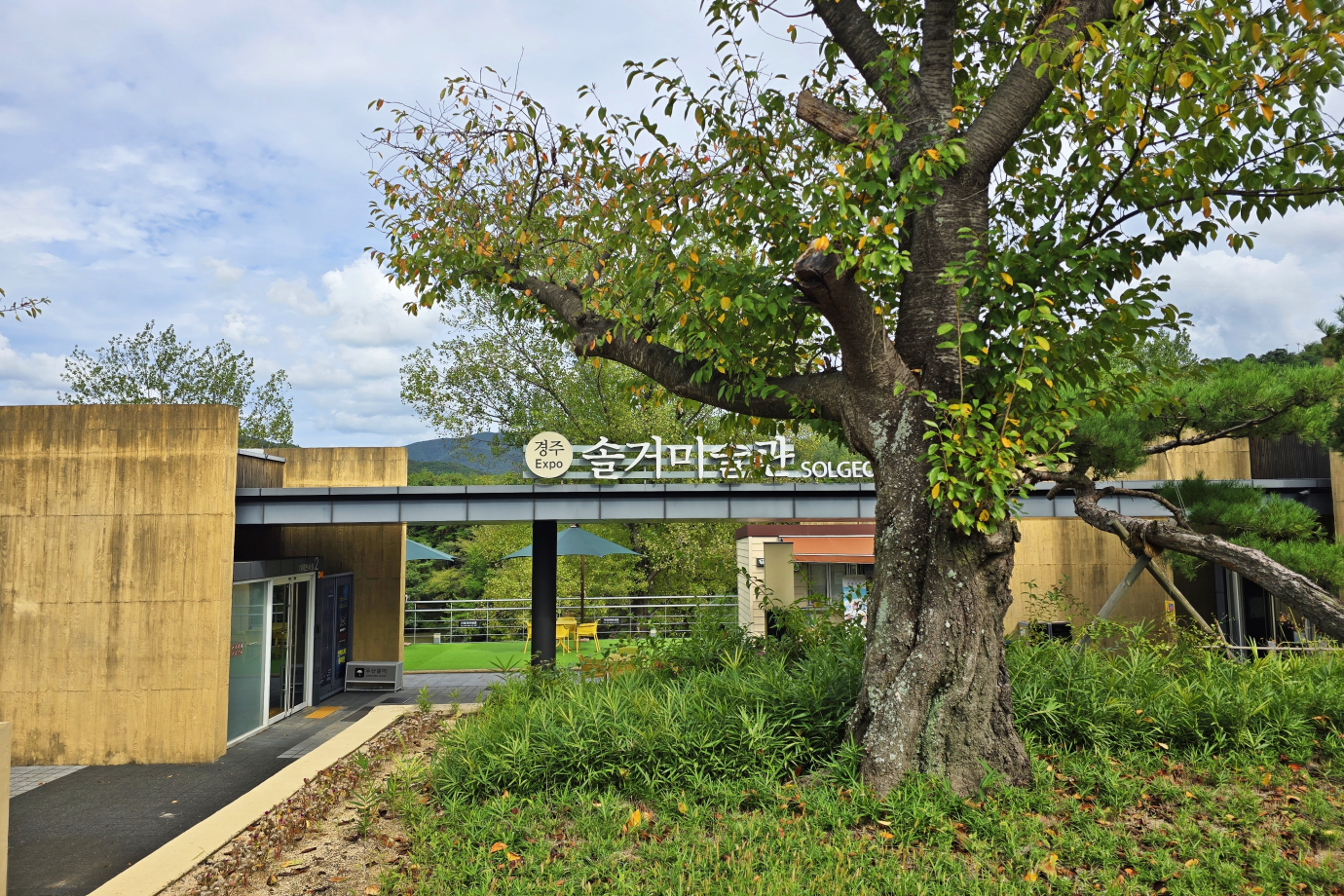 경주엑스포대공원 내에 위치한 경주솔거미술관