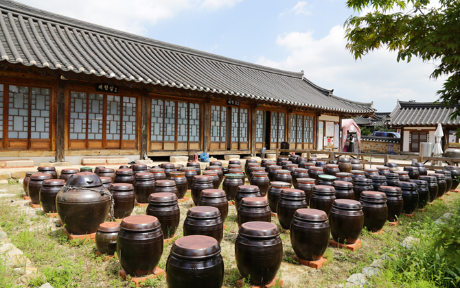 미경 전통식문화연구소 마당에 펼쳐진 장독대