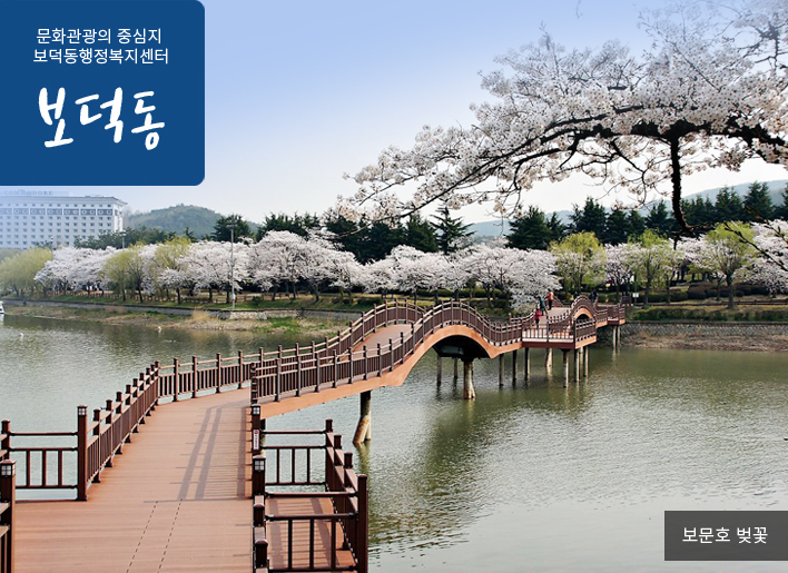 문화관광의 중심지! 보덕동행정복지센터 보덕동 / 보문호 벚꽃