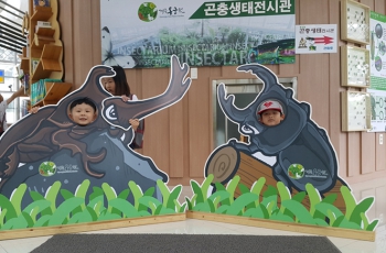 곤충체험