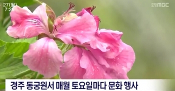 [포항mbc]문화가있는동궁원