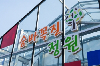 꼭꼭 숨어라 머리카락 보인다! 새로운 친구들을 찾아보아요