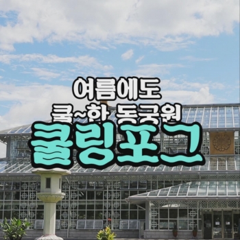 동궁원 쿨링포그 영상.