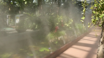 동궁원 쿨링포그