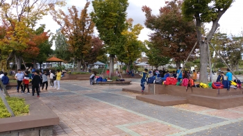 가을소풍이 한창인 동궁원