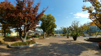 동궁원의 가을아침