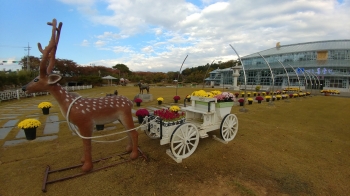 꽃마차를 끄는 사슴수레
