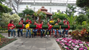 우크렐라 재능기부 공연(2019년 1월 31일 13:00, 동궁원 식물원 2관)