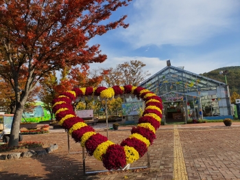 가을을품은동궁원