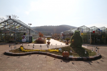 통실통실 귀여운 토피어리 포토존~^^