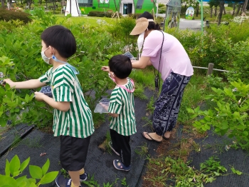 탐스러운 블루베리가 한가득~^^