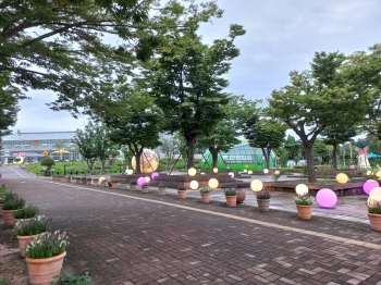동궁원의 저녁 풍경~^^