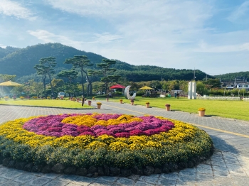 동궁원 곳곳에 가을 국화향기가 가득~!!