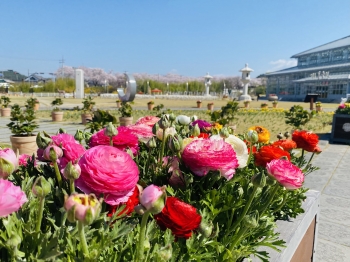 봄내음 가득한 동궁원~