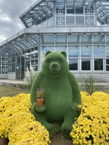 국화꽃 가득한 동궁원