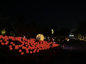 동궁원 야간개장