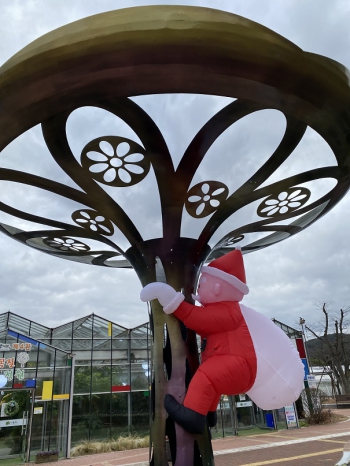 산타가 찾아왔어요~!