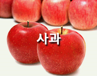 사과