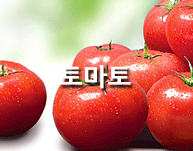 토마토