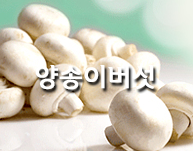송이버섯