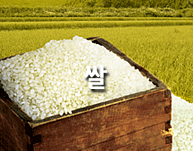 쌀