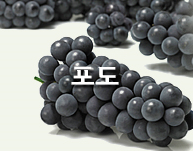 포도