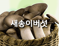 새송이버섯