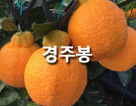 경주봉