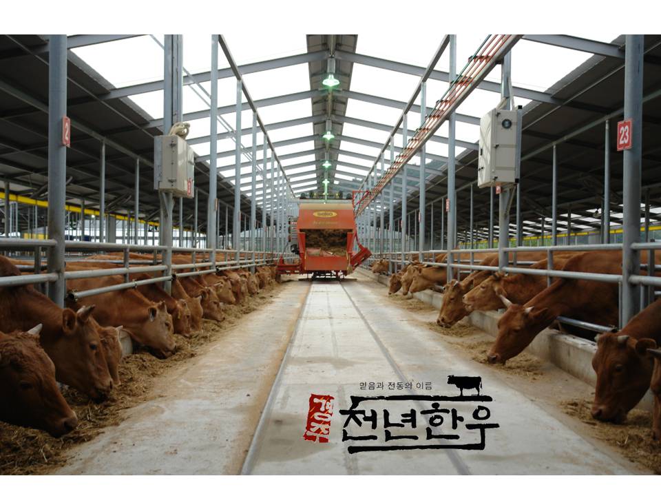 경주천년한우