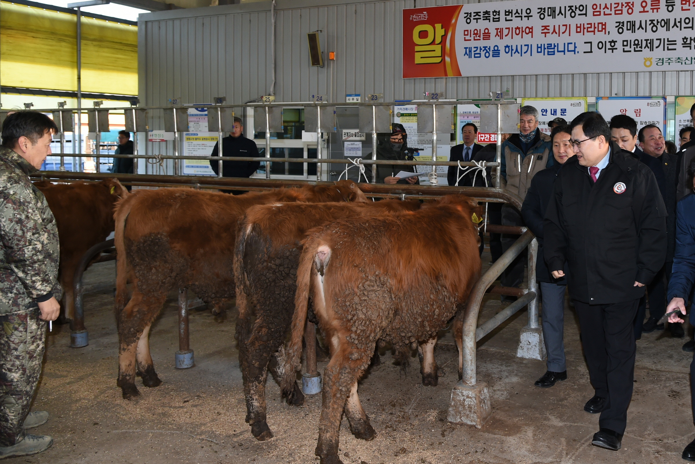 1. 주낙영 경주시장, 신년 가축시장 찾아 현장밀착행정 (1).jpg