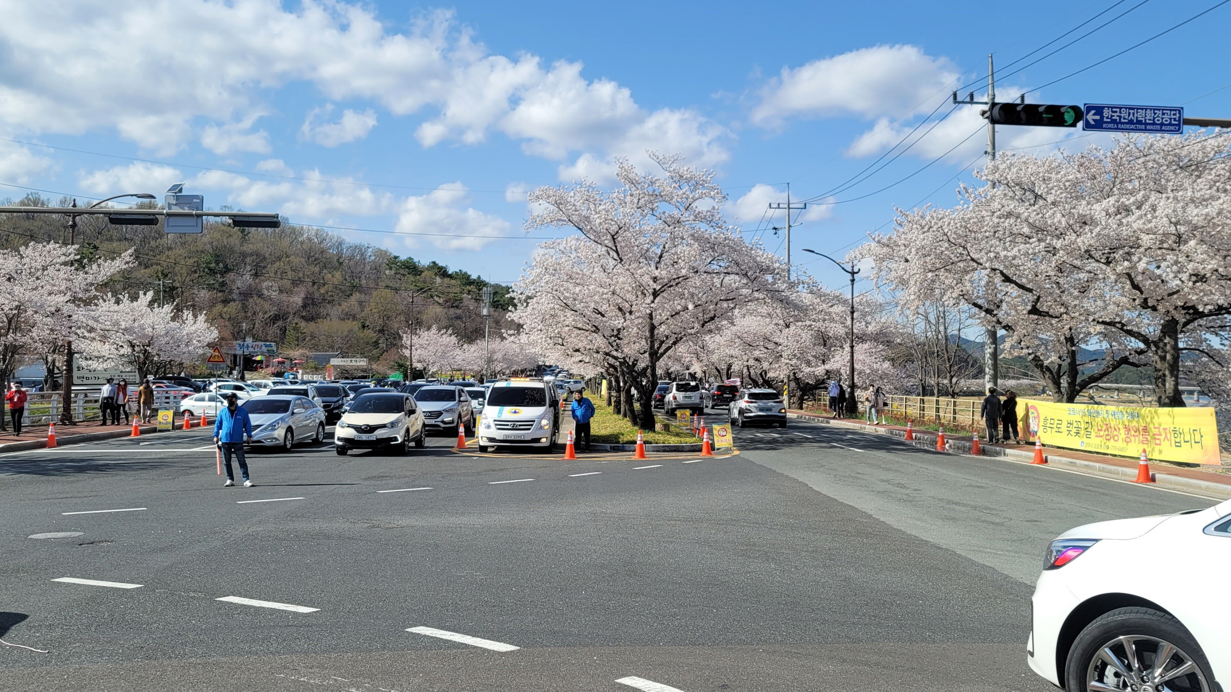 특별 교통지도 활동