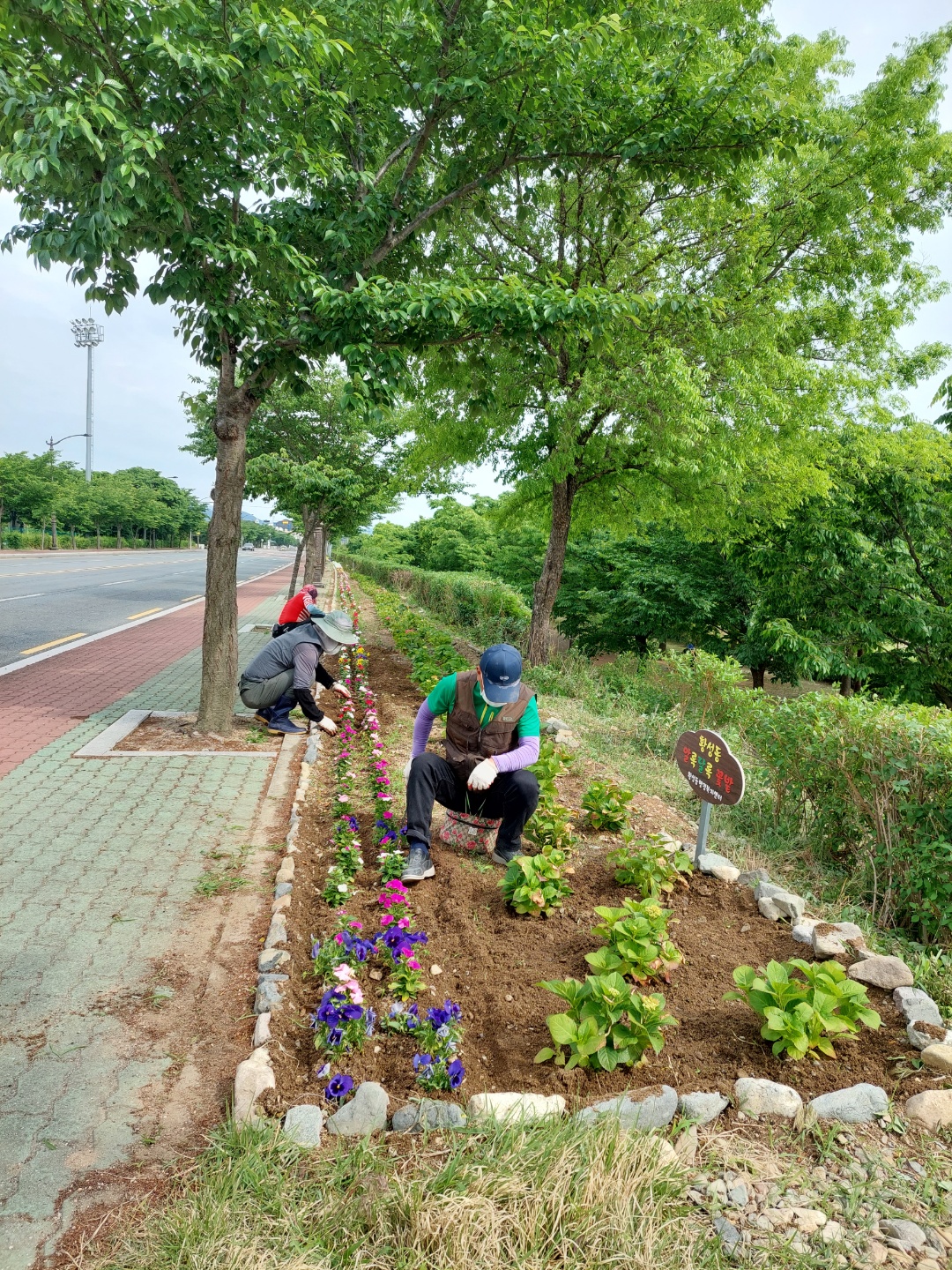 지난해 상반기 황성동행정복지센터로 배정된 공공근로사업 참여자들이 꽃길 가꾸기 사업에 한창이다