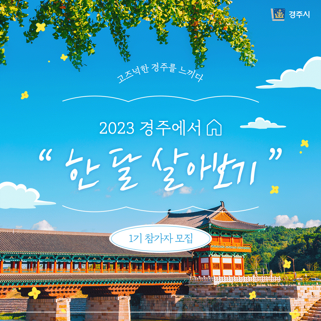 카드뉴스