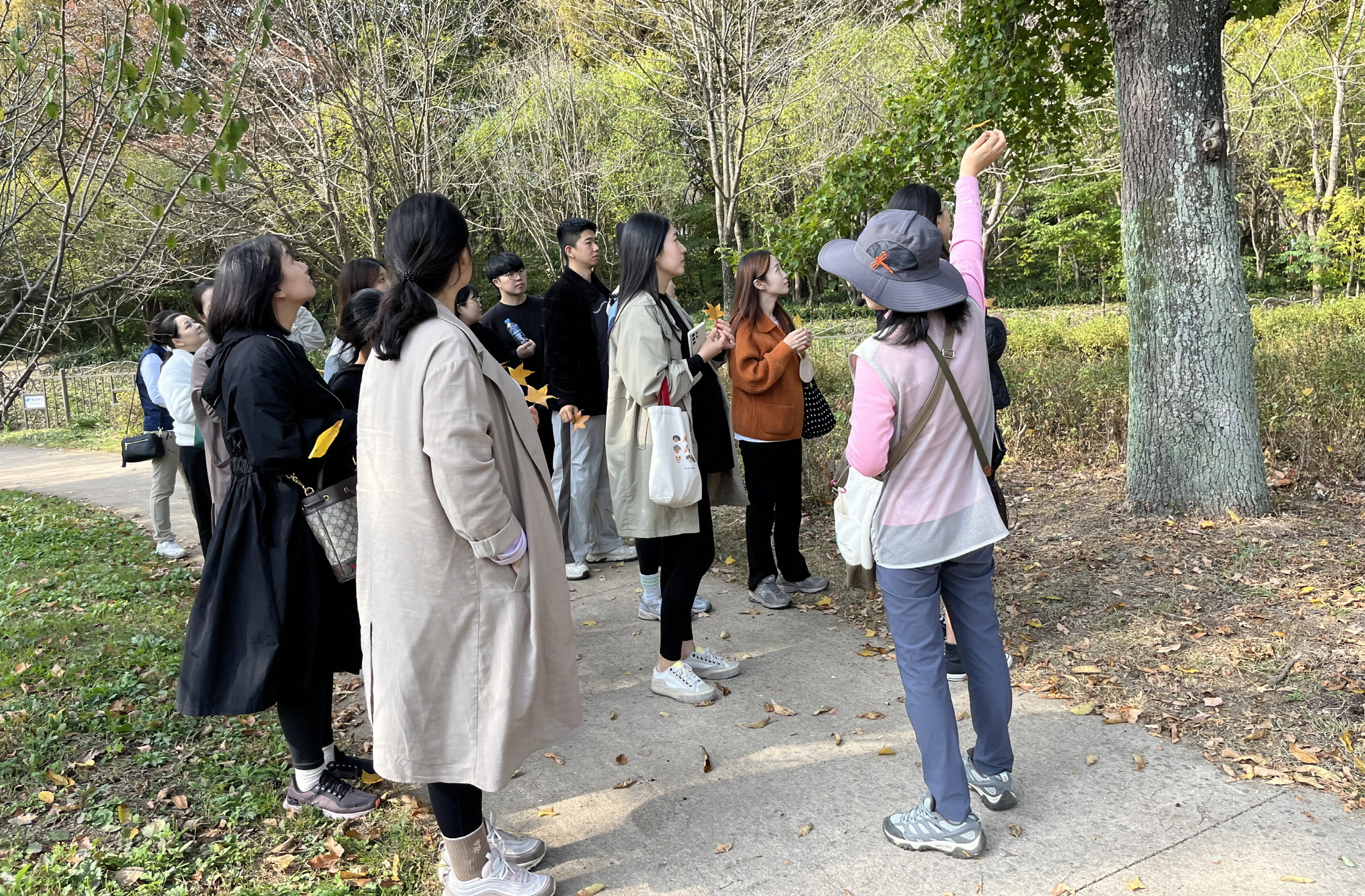 지난 26일 경북 천년숲 정원에서 임산부를 위한 숲태교 프로그램이 진행되고 있다.