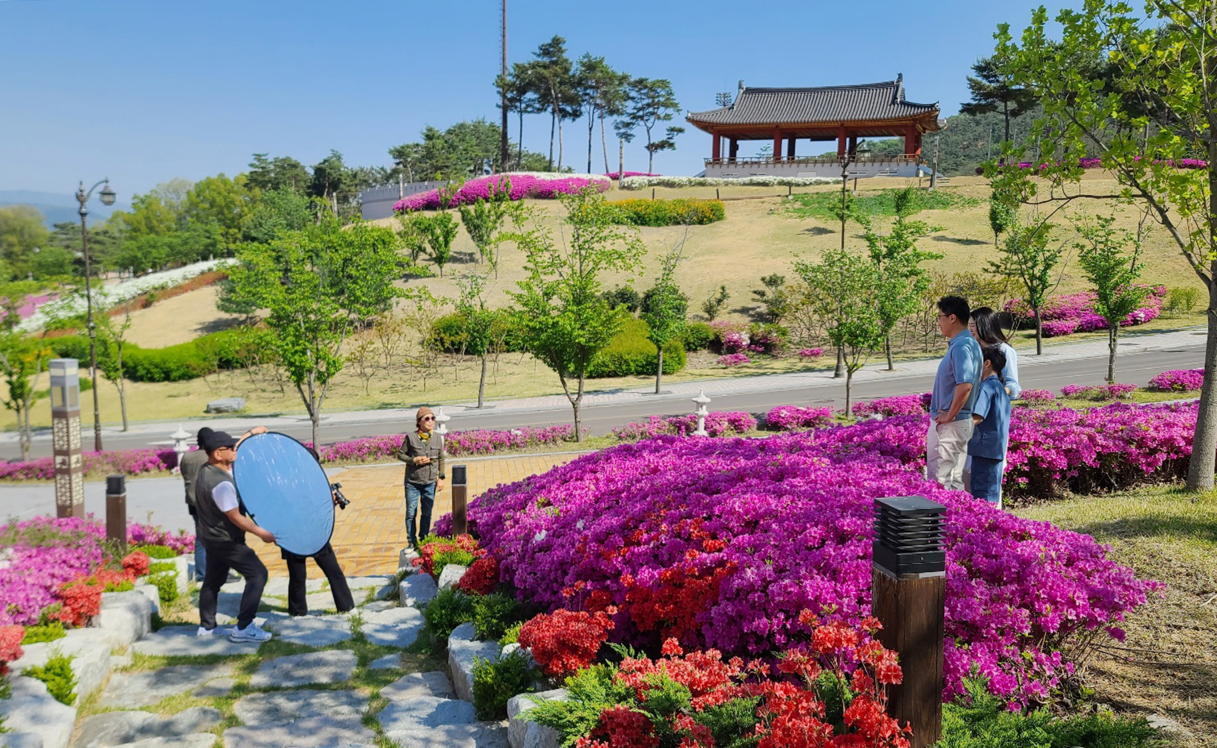 경주시 화랑마을에서 ‘다둥이 가정 행복 사진전’ 참가 가족이 봄꽃을 배경으로 촬영하고 있다. 이 사진들은 다음달 황리단길 생활문화센터와 시청 민원실에서 전시될 예정이다.