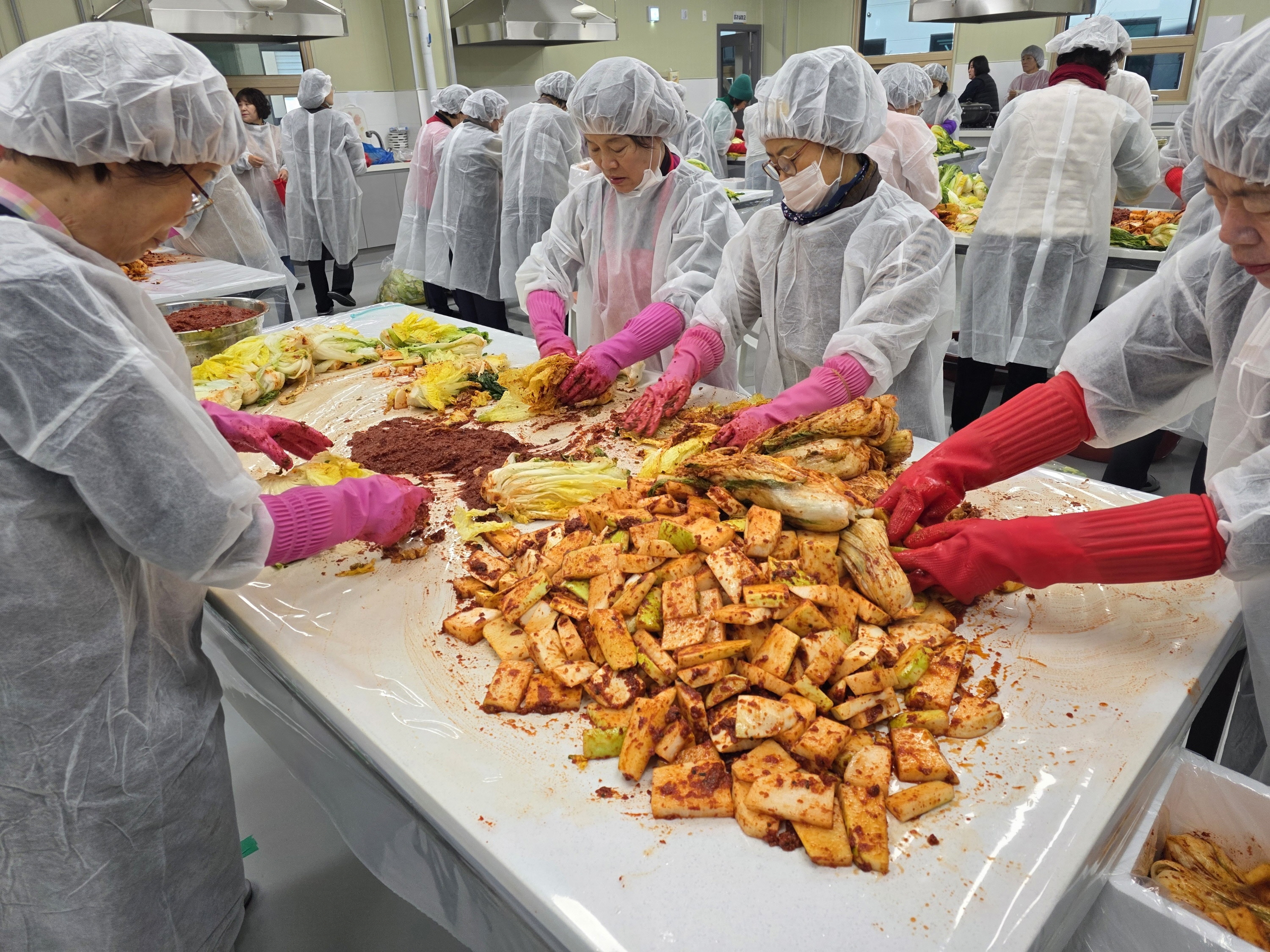 한국생활개선경주시연합회 회원들이 농산물가공종합지원센터에서 직접 재배한 지역 농산물로 김장김치를 담그고 있다