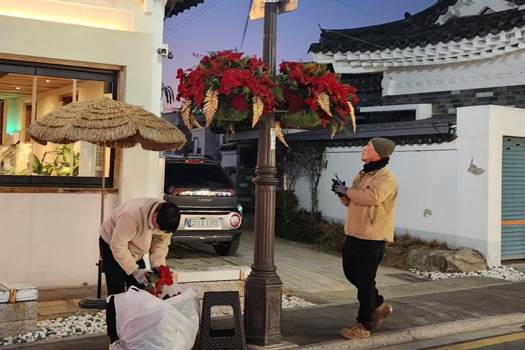경주시가 황리단길 일원 가로등에 포인세티아 화분을 설치하며 겨울철 거리 경관을 정비하고 있다.