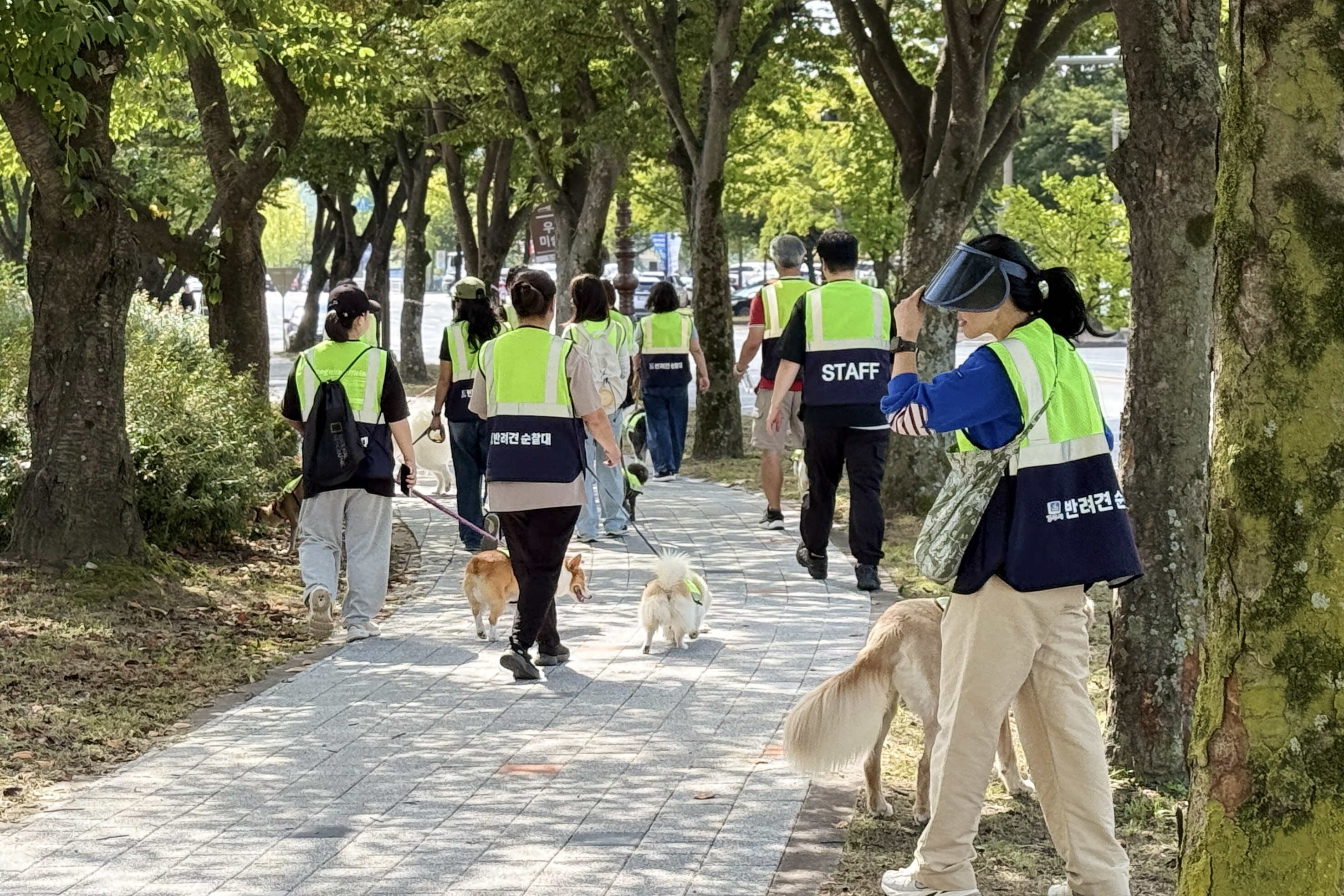 경주시 반려견 순찰대원들이 반려견과 함께 생활권 공원 일대에서 합동순찰을 실시하며 지역 안전을 살피고 있다